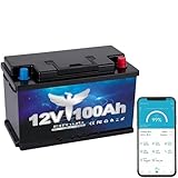 Elfhub LiFePO4 12V 100AH Autobatterie Bluetooth 100A BMS über 5000 Mal Tiefzyklus Lithium Akku 1280W Abschaltschutz bei Niedriger Temperatur für Wohnmobil, Camping, Boot, Solare Heimanlagen